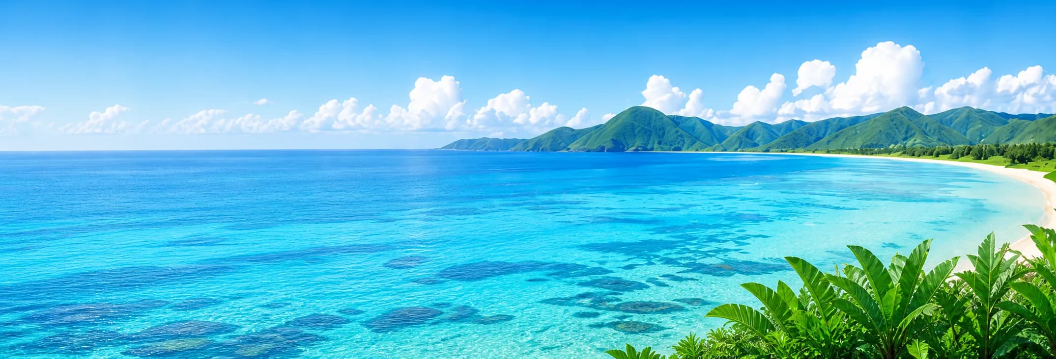 奄美群島のサンゴ礁と青い海